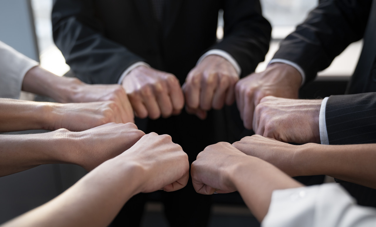 Organizational Culture Programs